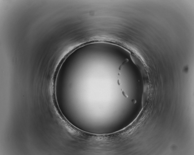 X0000100211040200806061341