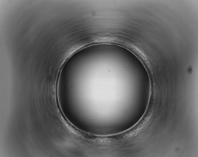 X0000100211041200806061341