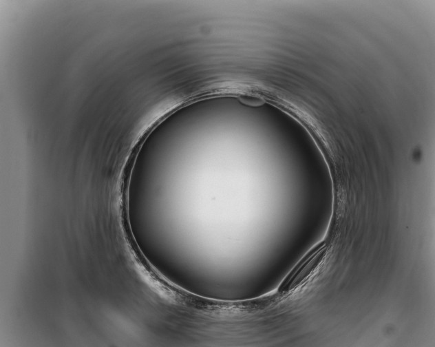 X0000100211042200806061341