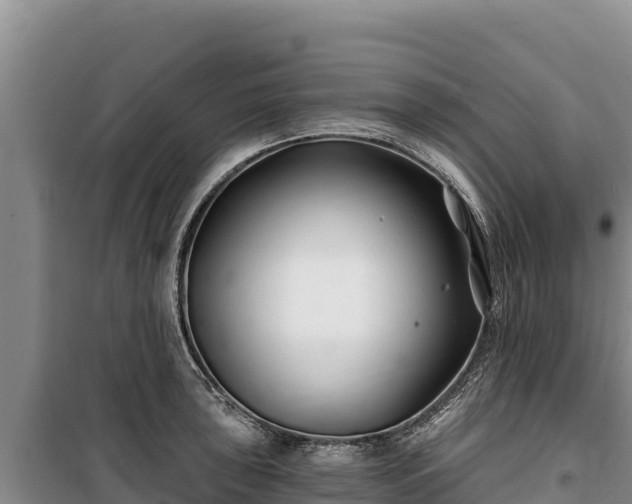 X0000100211043200806061341