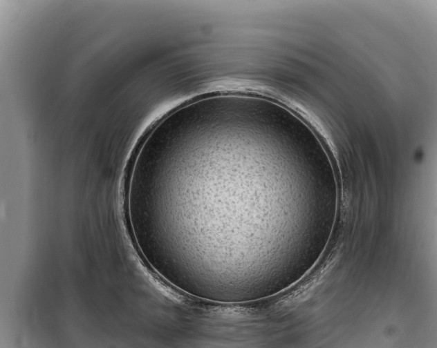 X0000100211045200806061341