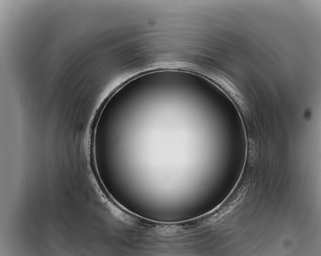 X0000100211046200806061341