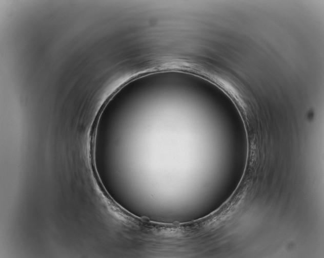 X0000100211047200806061341