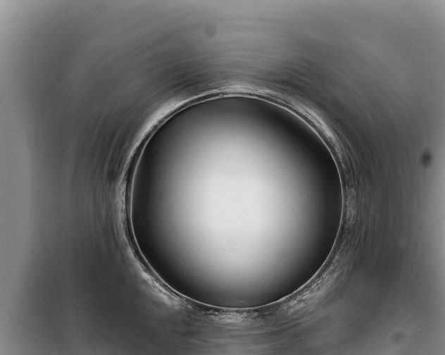 X0000100211048200806061341