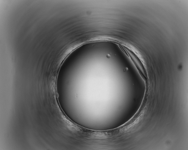 X0000100211049200806061341