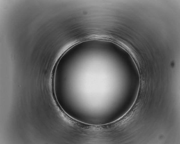 X0000100211050200806061341