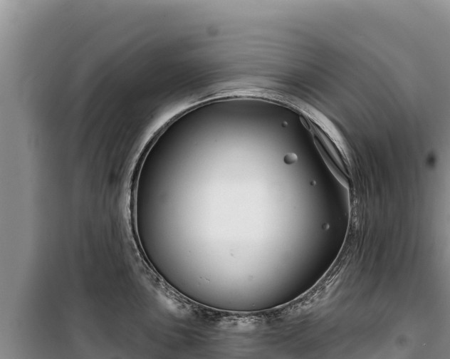 X0000100211051200806061341