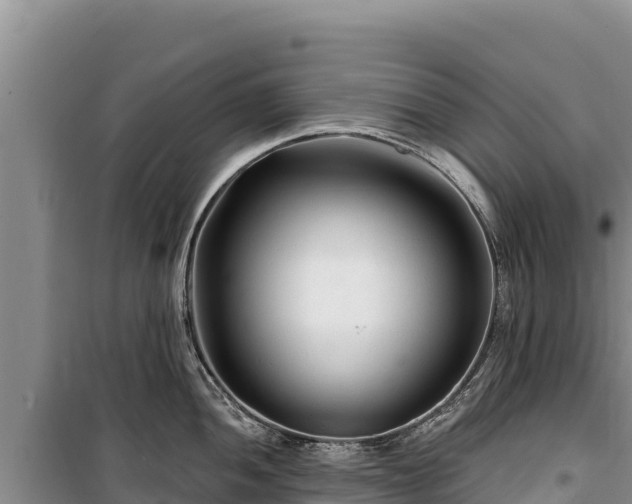 X0000100211052200806061341