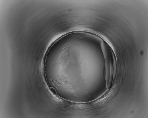 X0000100211053200806061341