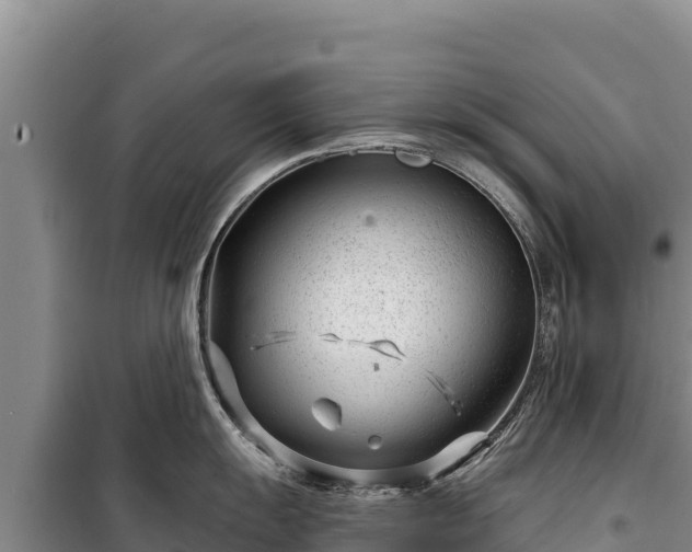 X0000100211055200806061341