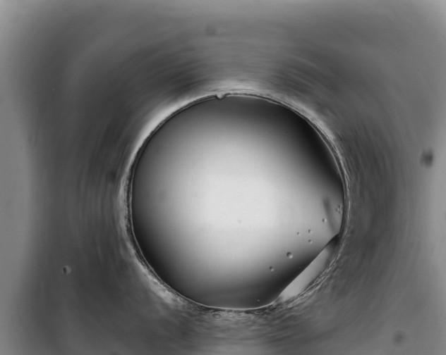 X0000100211056200806061341