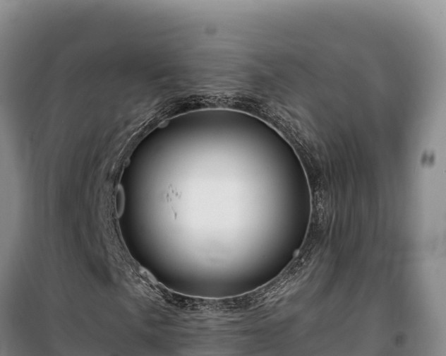 X0000100211057200806061341