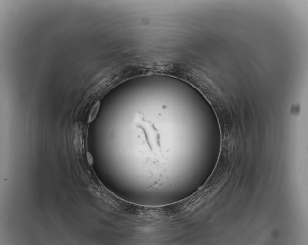 X0000100211058200806061341