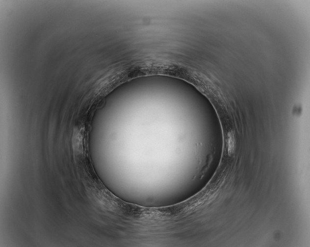 X0000100211059200806061341