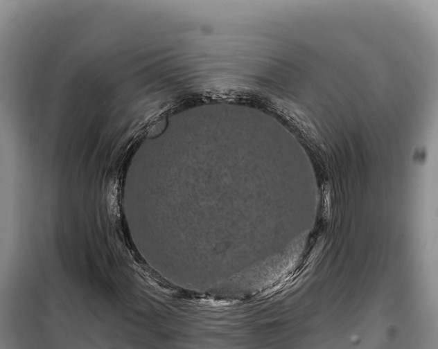 X0000100211060200806061341