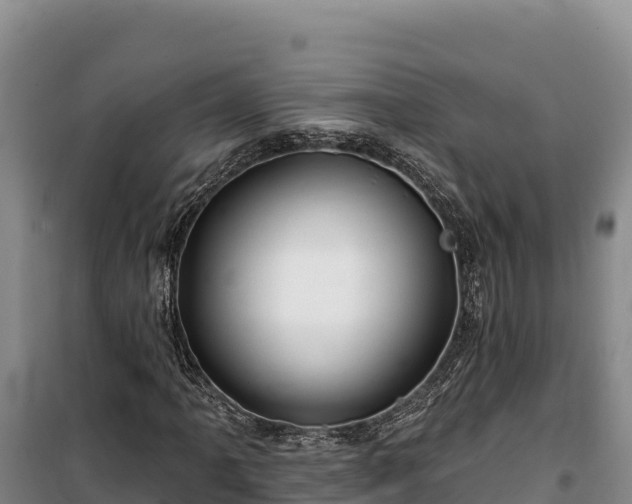 X0000100211061200806061341