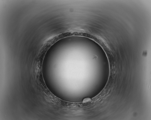 X0000100211063200806061341