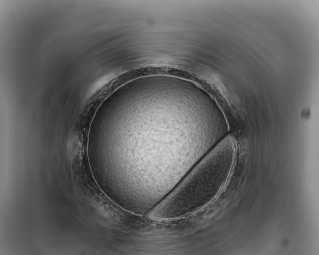 X0000100211064200806061341