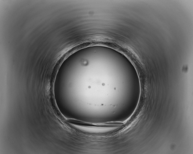 X0000100211065200806061341