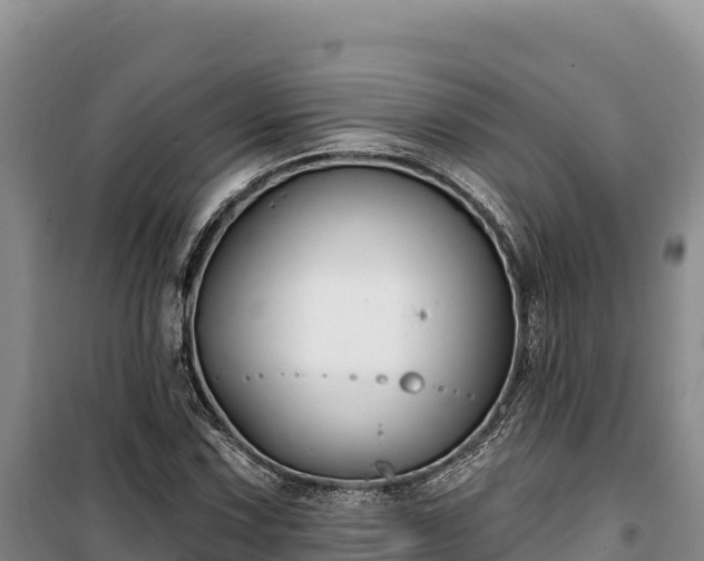 X0000100211067200806061340