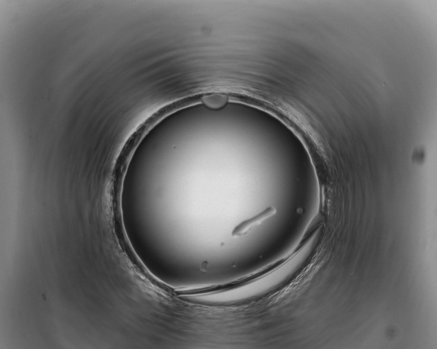 X0000100211068200806061340