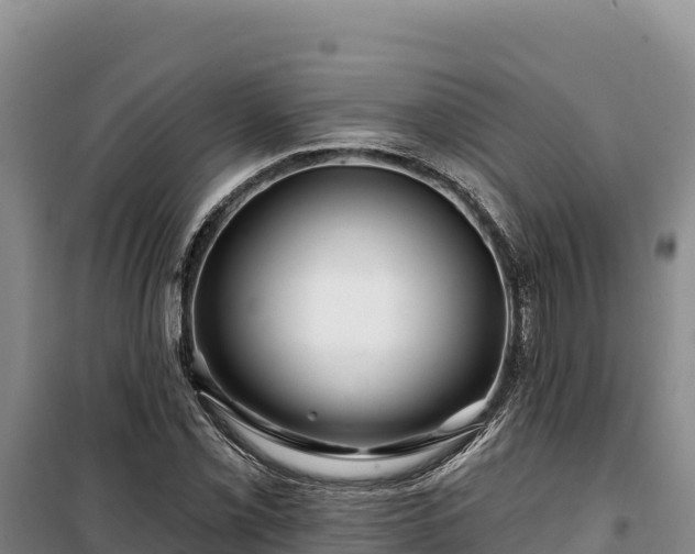 X0000100211069200806061340