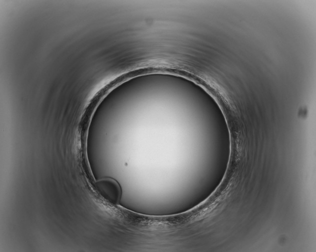 X0000100211070200806061340