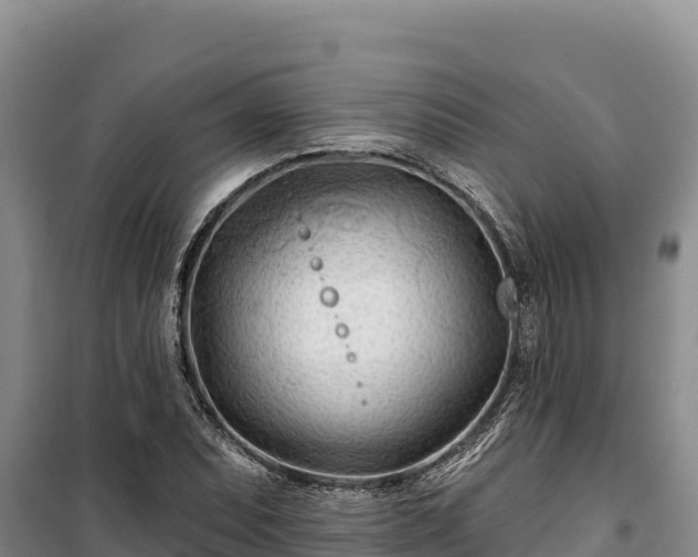 X0000100211071200806061340