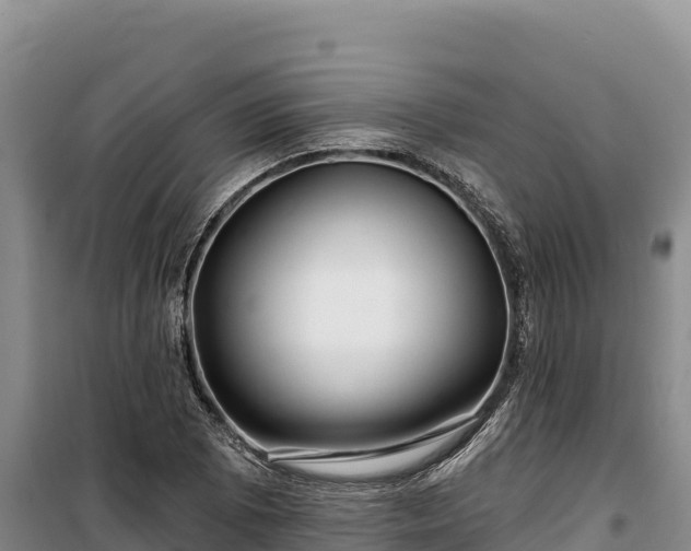 X0000100211073200806061340