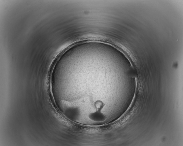 X0000100211074200806061340