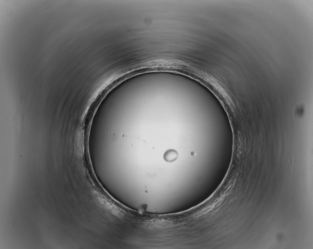 X0000100211075200806061340