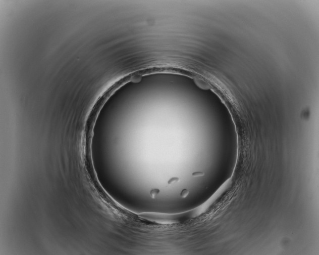 X0000100211076200806061340