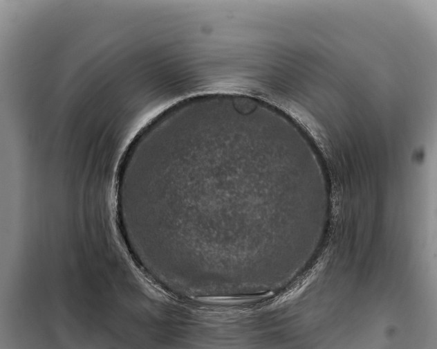 X0000100211077200806061340