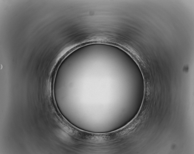 X0000100211078200806061340