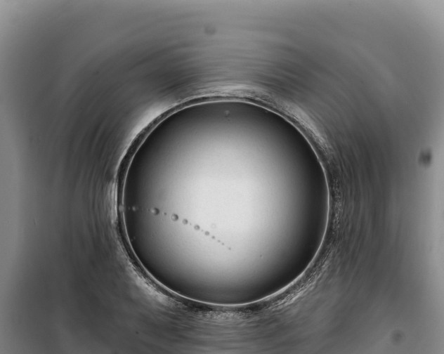 X0000100211079200806061340