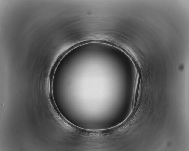 X0000100211080200806061340