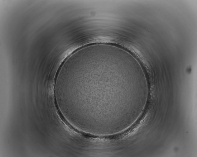 X0000100211081200806061340