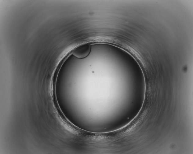 X0000100211082200806061340