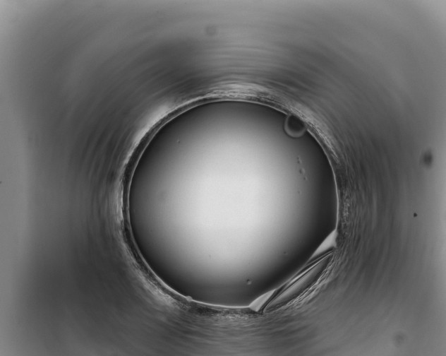 X0000100211083200806061340