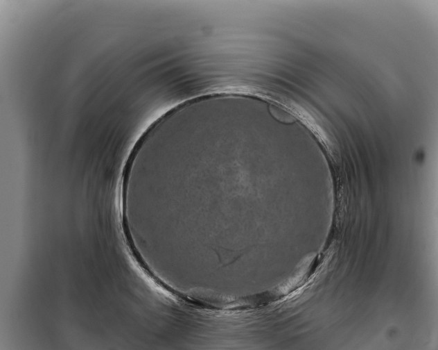 X0000100211084200806061340