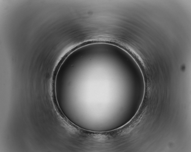 X0000100211085200806061340