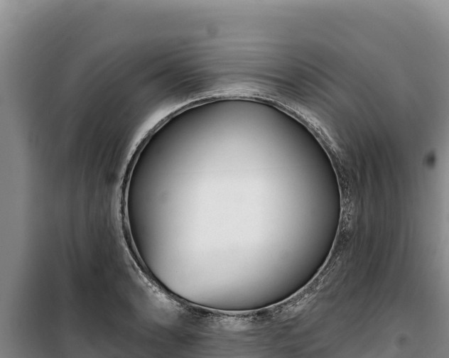 X0000100211086200806061340