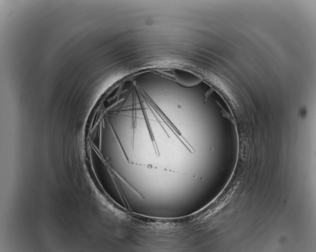 X0000100211087200806061340