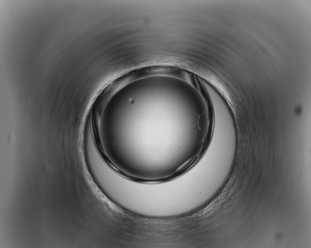 X0000100211088200806061340