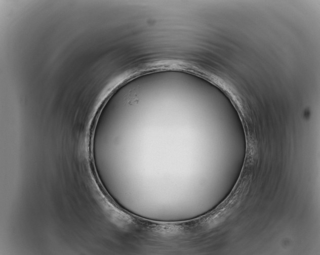 X0000100211090200806061340