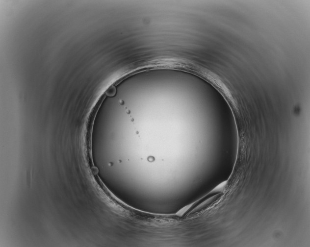 X0000100211091200806061340