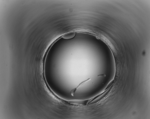 X0000100211092200806061340