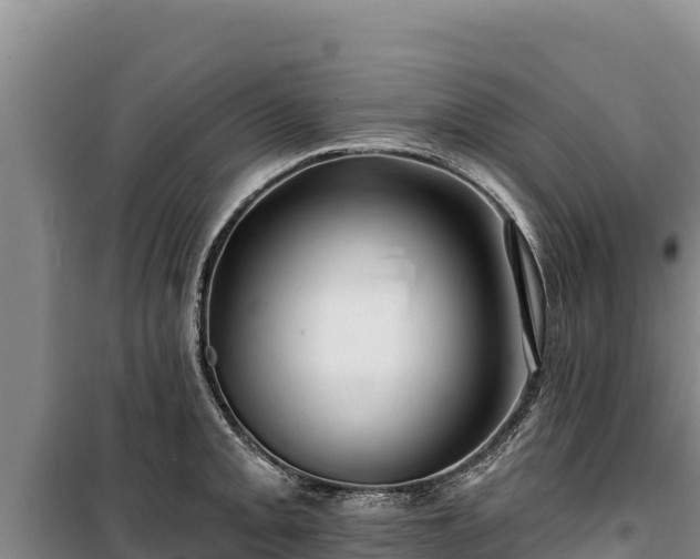 X0000100211093200806061340