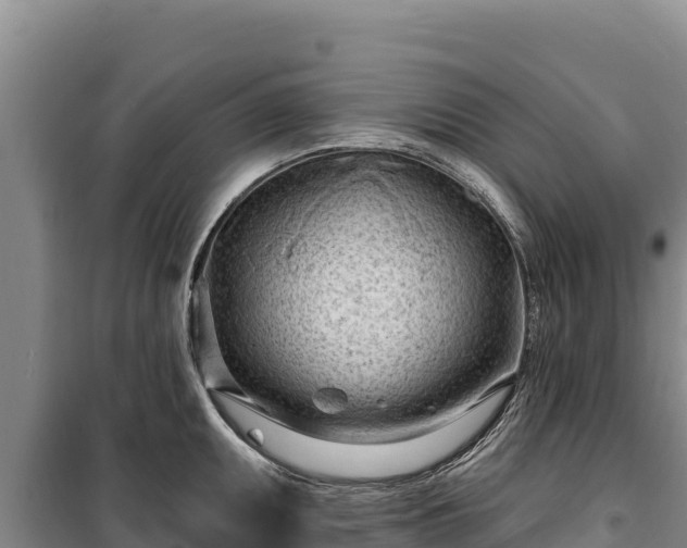 X0000100211095200806061340