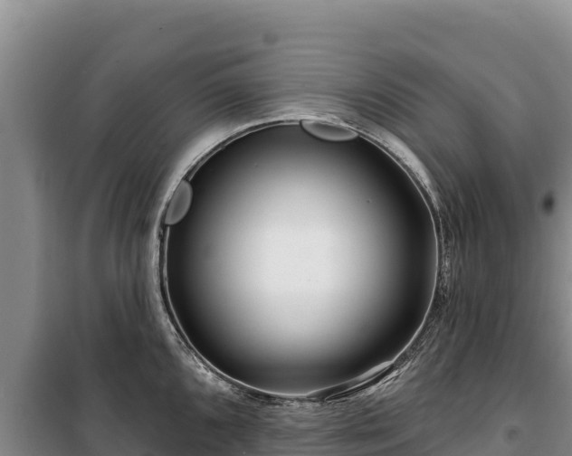 X0000100211096200806061340